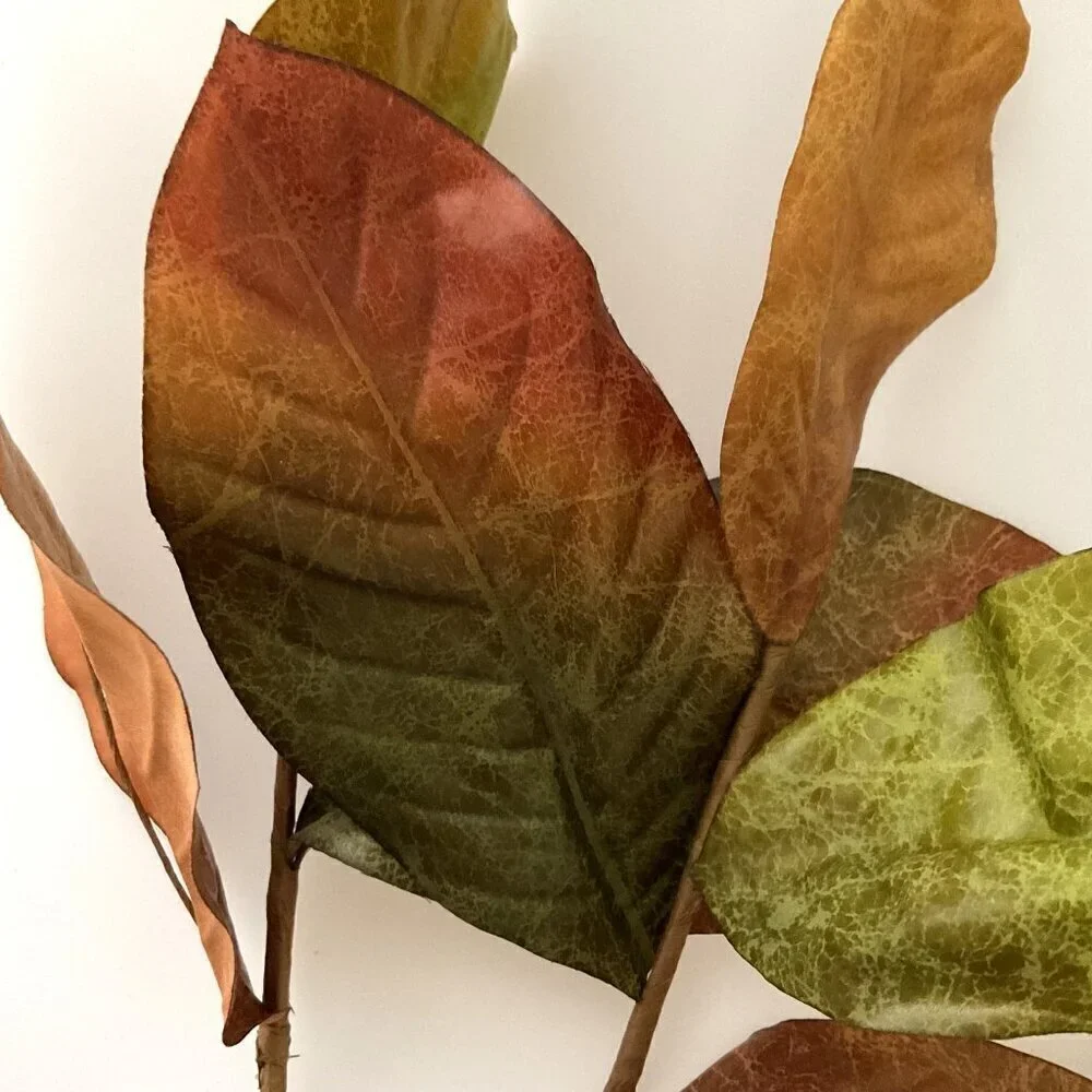 MAGNOLIA BIG LEAVES  DIY BUNDLE CRAFTS HOME DECOR 30 LEAVES 4 BRANCHES